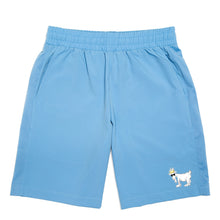 Load image into Gallery viewer, Men's Athletic Shorts::Light Blue