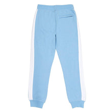 Load image into Gallery viewer, Fleece Joggers (with Stripe)::Carolina Blue
